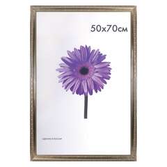  Рамка премиум 50х70 см, пластик, багет 33 мм, "dorothy", серебро, 0023-50-3330 | Рамки для дипломов, сертификатов, грамот, фотографий