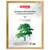  Рамка 30х40 см, дерево, багет 18 мм, brauberg "hit", канадская сосна, стекло, 390026 | Рамки для дипломов, сертификатов, грамот, фотографий