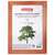  Рамка 15х20 см, дерево, багет 18 мм, brauberg "pinewood", красное дерево, стекло, подставка, 391217 | Рамки для дипломов, сертификатов, грамот, фотографий