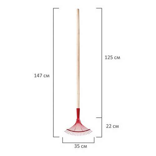  Грабли веерные проволочные, 20 зубьев, ширина 35 см, деревянный черенок 120 см, км000881 | Инвентарь для уборки на улице и уходом за почвой