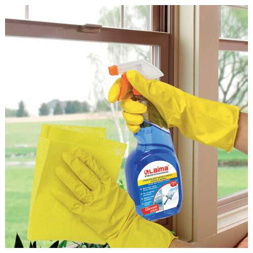  Средство для мытья стекол и зеркал 750 мл, laima professional, свежий озон, распылитель, 602301 | Средства для мытья стекол