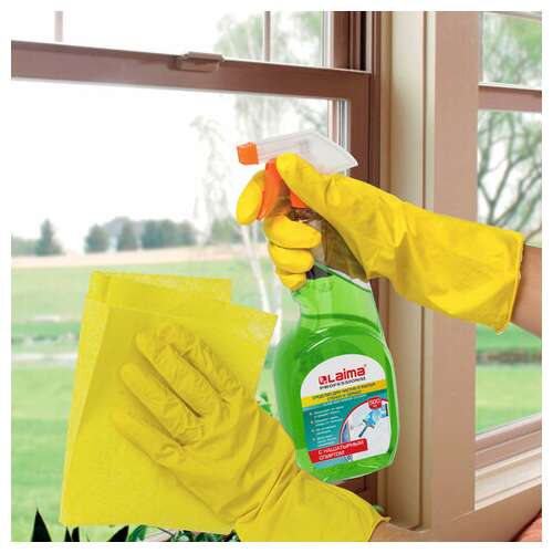  Средство для мытья стекол и зеркал с нашатырным спиртом 500 мл, laima professional, распылитель, 604744 | Средства для мытья стекол