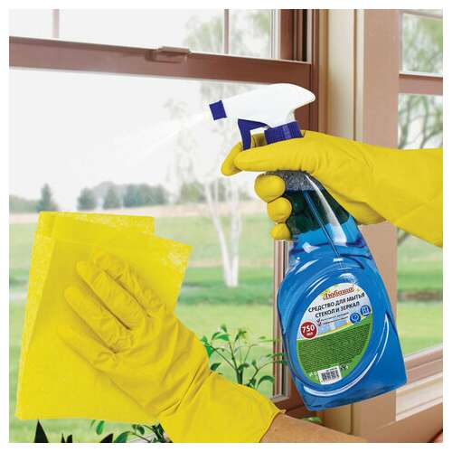  Средство для мытья стекол и зеркал 750мл "морозная свежесть", распылитель, любаша, 608535 | Средства для мытья стекол