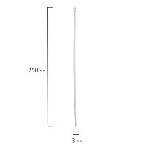  Хомуты (стяжки), нейлоновые, 3,6 мм х 250 мм, комплект 100 шт., белые, европодвес, 57-0250 | Хомуты (стяжки)