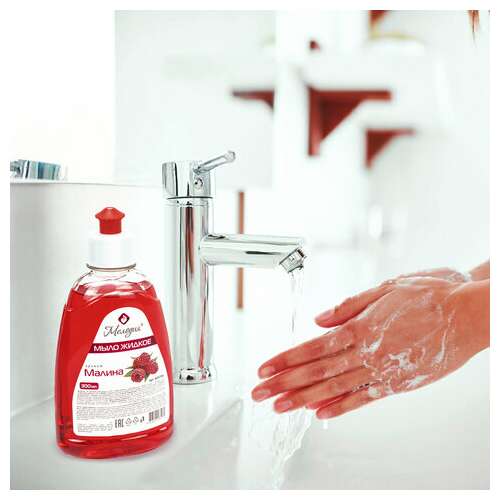  Мыло жидкое 300 мл, мелодия "малина", пуш-пул, 604784 | Мыло жидкое