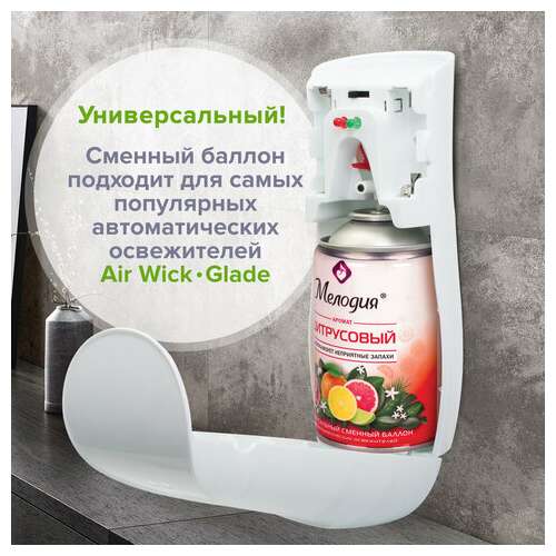  Сменный баллон 250 мл мелодия "цитрусовый", для автоматических освежителей, универсальный, 605229 | Сменные баллоны аэрозольные