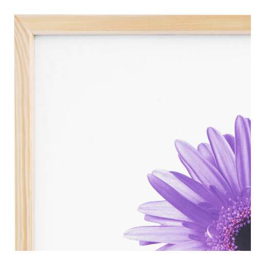  Рамка премиум 40х50 см, дерево, багет 18 мм, "sasha", светло-коричневая, 0011-16-0000 | Рамки для дипломов, сертификатов, грамот, фотографий