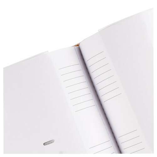  Фотоальбом brauberg на 200 фото 10х15 см, под кожу, бумажные страницы, бокс, бело-золотистый, 391112 | Фотоальбомы