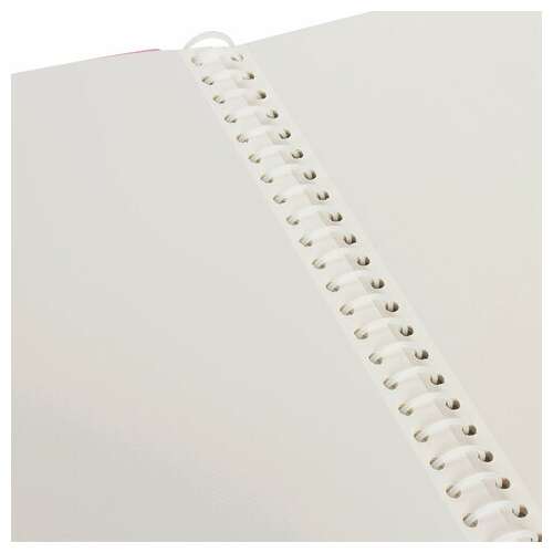  Фотоальбом brauberg на 20 магнитных листов, 23х28 см, "дивный луг", розовый, 390686 | Фотоальбомы